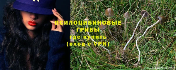 дурь Бронницы