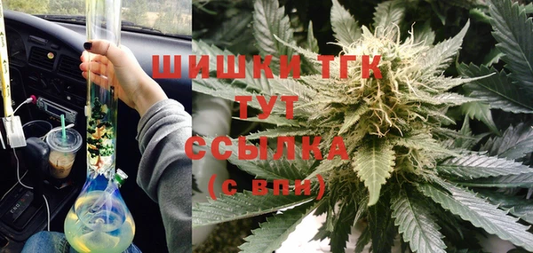 дурь Бронницы