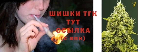дурь Бронницы
